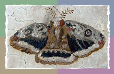 Pear Peacock Moth (Gro�es Wiener Nachtpfauenauge